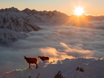 Image d'un chemin enneigé, marche consciente