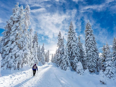 Image d'un chemin enneigé, marche consciente