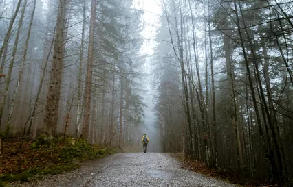 Image d'ambiance d’un marcheur dans une forêt brumeuse