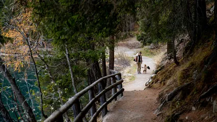 Image d'ambiance d’un papa et de son jeune enfant marchent en forêt