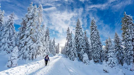 Image d'un chemin enneigé, marche consciente